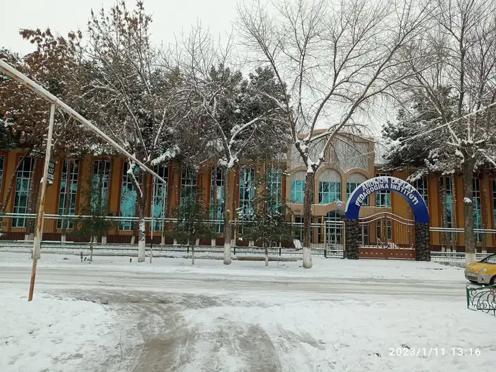 Andijon davlat pedagogika instituti, Andijon — 8-rasm