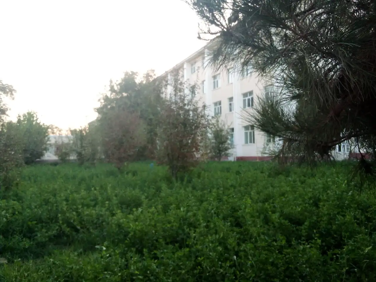 Buxoro tabiiy resurslarni boshqarish instituti, Buxoro — photo 9