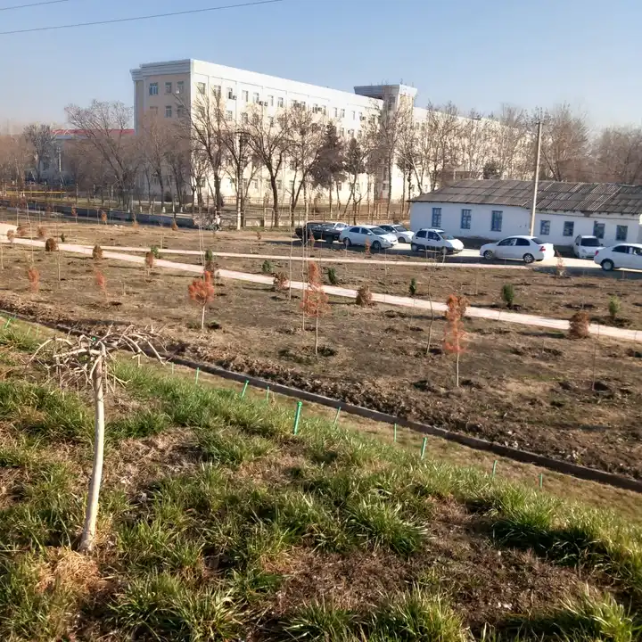 Guliston davlat universiteti, Guliston — 10-rasm
